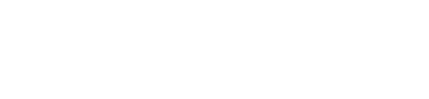 WELLSTAR logo